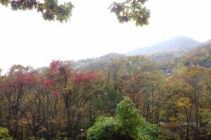 旭山紅葉情報2023年10月28日23山紅葉坂から藻岩山を望む