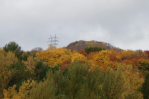 旭山紅葉情報2023年10月29日8幌見峠方面の鉄塔