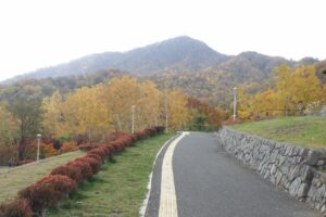 旭山紅葉情報2023年10月29日7テラス状階段から藻岩山を望む