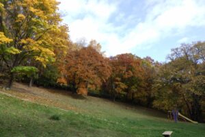 旭山紅葉情報2023年10月29日11遊具広場