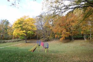 旭山紅葉情報2023年10月29日9遊具広場