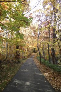 旭山紅葉情報2023年10月29日26森の家坂上り