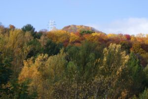 旭山紅葉情報2023年10月30日4幌見峠方面の鉄塔