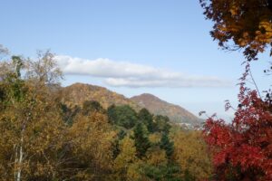 旭山紅葉情報2023年10月30日3神社山三角山