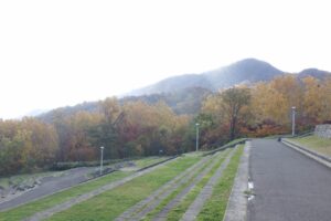 旭山紅葉情報2023年10月30日6テラス状階段から望む藻岩山