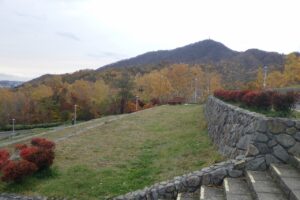 旭山紅葉情報2023年11月1日10テラス状階段から望む藻岩山