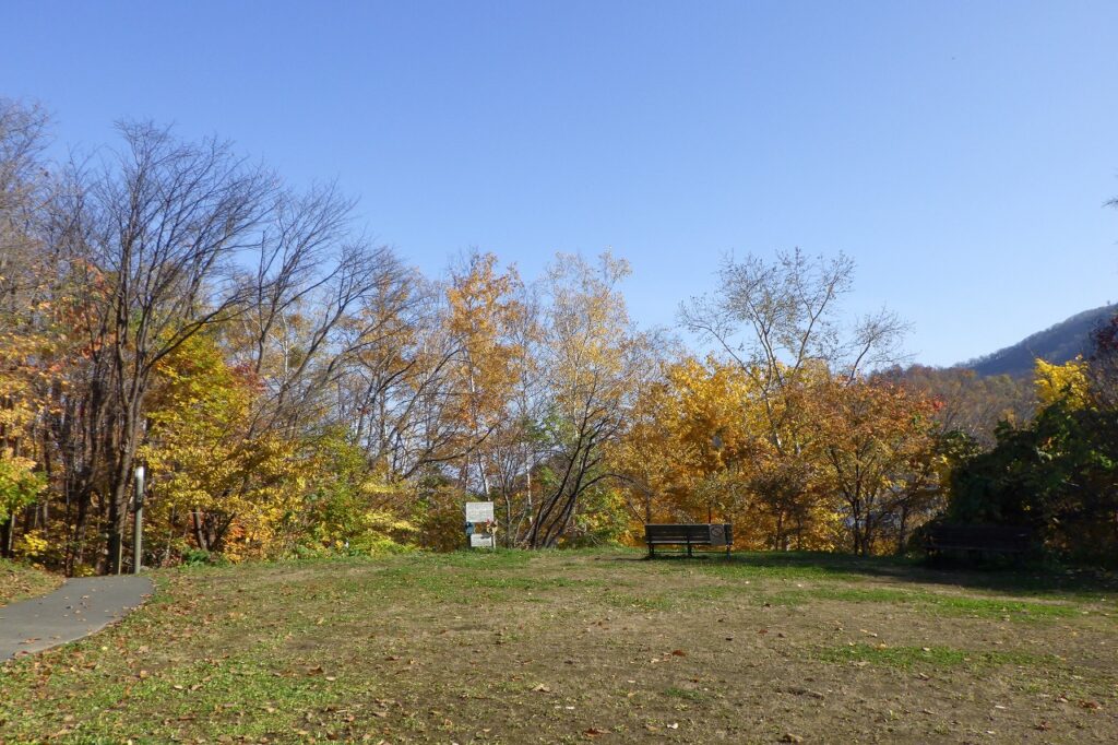 2023年11月2日紅葉の状況（森の家前広場）