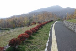 旭山紅葉情報2023年11月3日1テラス状階段から望む藻岩山