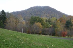 旭山紅葉情報2023年11月3日2円山と新桜並木