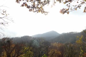 旭山紅葉情報2023年11月3日22山紅葉坂から藻岩山を望む