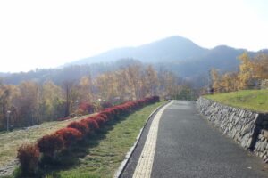 旭山紅葉情報2023年11月4日5テラス状階段から望む藻岩山