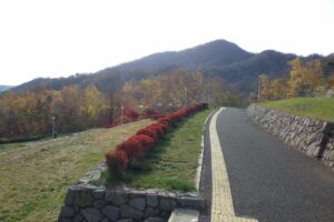 旭山紅葉情報2023年11月5日11テラス状階段から望む藻岩山