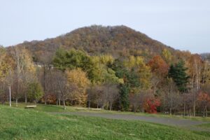 旭山紅葉情報2023年11月5日10円山と新桜並木