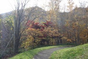 旭山紅葉情報2023年11月5日7四季の散歩道