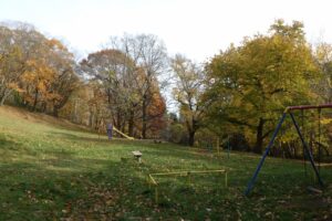 旭山紅葉情報2023年11月5日18遊具広場