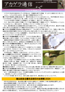 アカゲラ通信2023年12月号表
