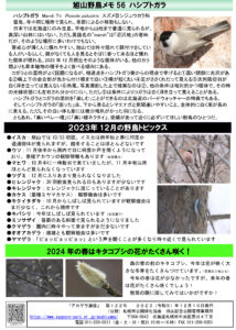 アカゲラ通信2023年12月号裏