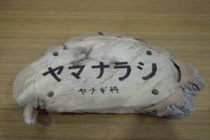 2024年2月24日旭山記念公園ボランティアの会活動　樹名板作り