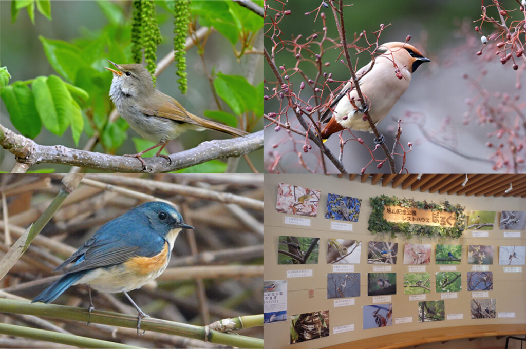過去の受賞作品と二次審査のパネル展示の様子