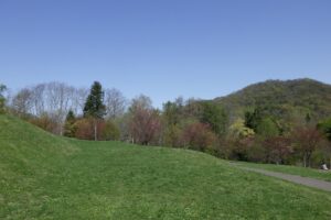 2024年4月29日新桜並木を段上テラスから