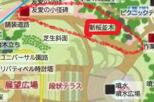 旭山記念公園の桜2024年4月22日9マップ