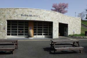 旭山記念公園の桜2024年4月26日13レストハウス