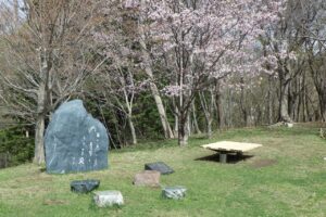 旭山記念公園の桜2024年4月26日12寺田京子句碑と桜