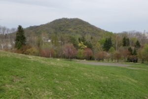 桜情報4月28日 (2)