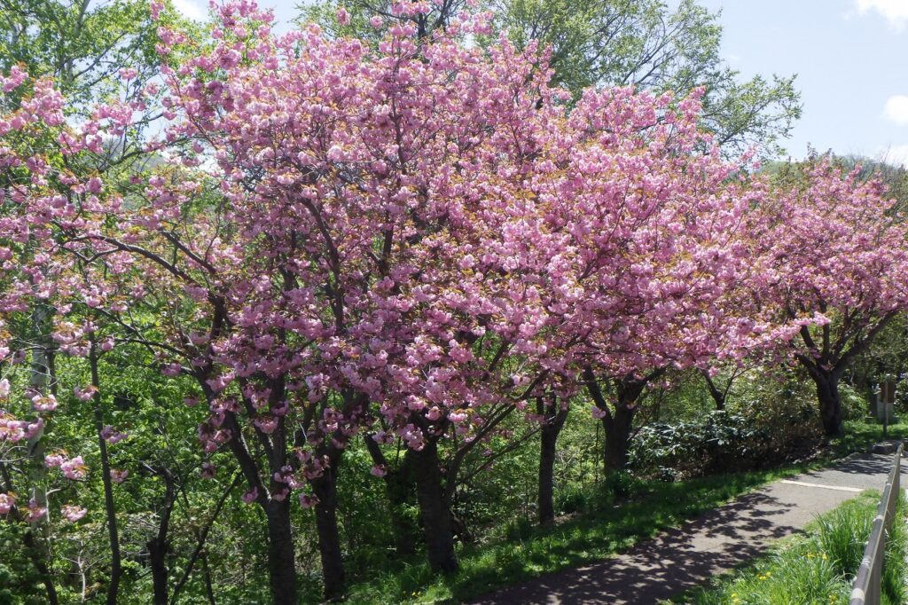 2024.5.9レストハウス2