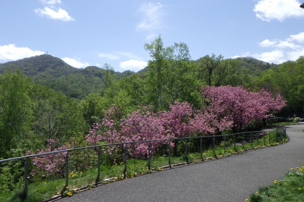 2024.5.9レストハウス1