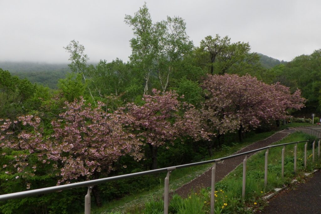 レストハウス (4)