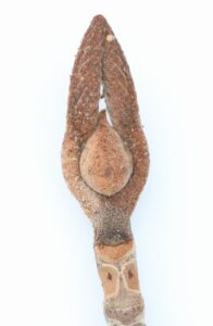 オオカメノキ冬芽2024年5月11日ウサギのように見えるか