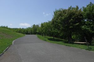 2024年5月14日桜情報 (新桜並木の全景)