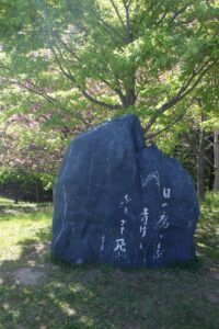 旭山記念公園の八重桜2024年5月15日6寺田京子句碑