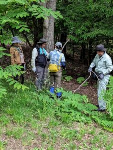 旭山ボランティアの会活動2024年6月13日.3