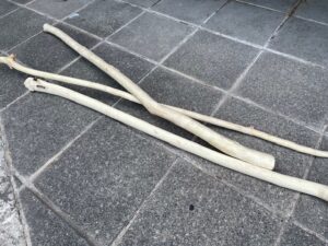 樹皮を剥いたオニグルミの枝