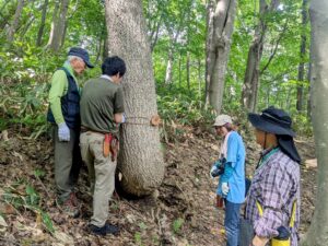 旭山ボランティアの会活動、樹名板作り2