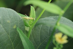 カンタン2024年9月1日