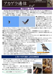 アカゲラ通信2024年9月号表