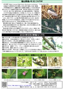 アカゲラ通信2024年9月号裏