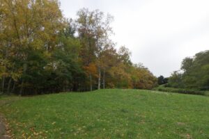 2024年10月22日紅葉の状況 (ちびっ子広場への斜面.2)