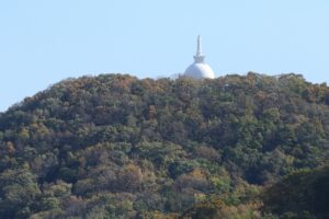 旭山記念公園紅葉情報2024年10月20日21藻岩山平和の塔を望遠で