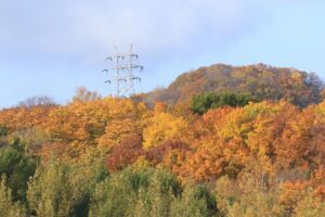 旭山記念公園紅葉情報2024年10月２6日11幌見峠鉄塔