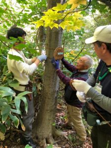 2024年10月10日旭山ボランティアの会活動の様子