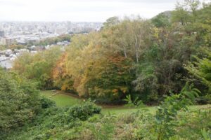 2024年10月22日紅葉の状況 (ちびっ子広場への斜面)