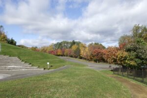 2024年10月24日紅葉の状況 (新桜並木)