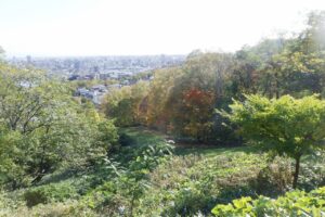 2024年10月24日紅葉の状況 (ちびっ子広場への斜面)