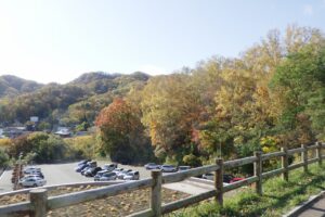 2024年10月24日紅葉の状況 (第1駐車場)