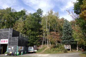 2024年10月9日紅葉情報 (9)