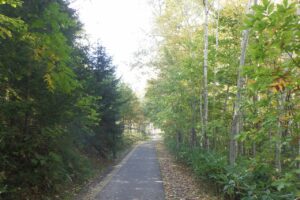 2024年10月17日紅葉の状況 (10)